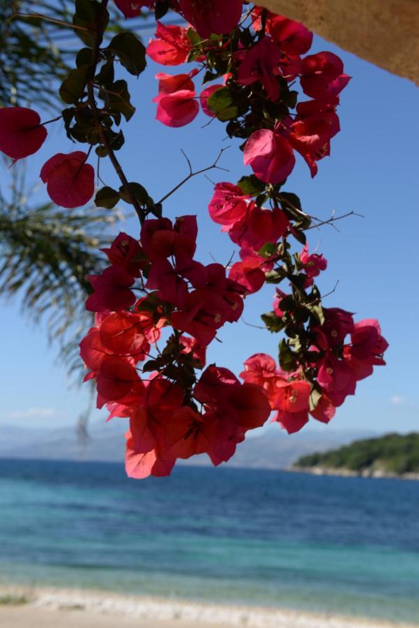 Villa Melanthi Kassiopi Corfu Exteriér fotografie