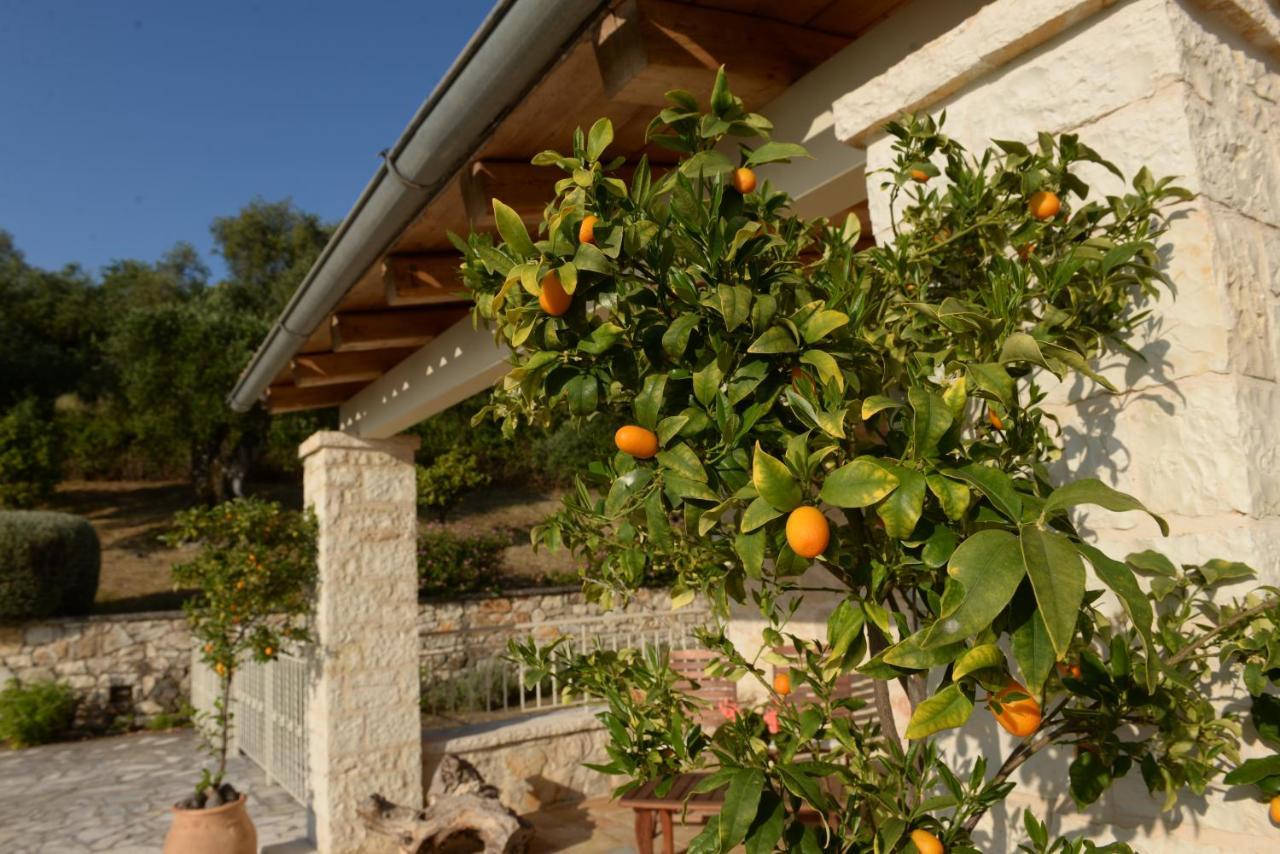 Villa Melanthi Kassiopi Corfu Exteriér fotografie